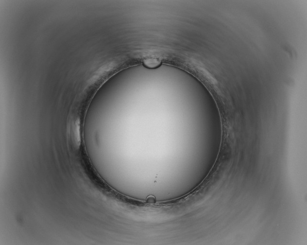 X0000110720020200906191515
