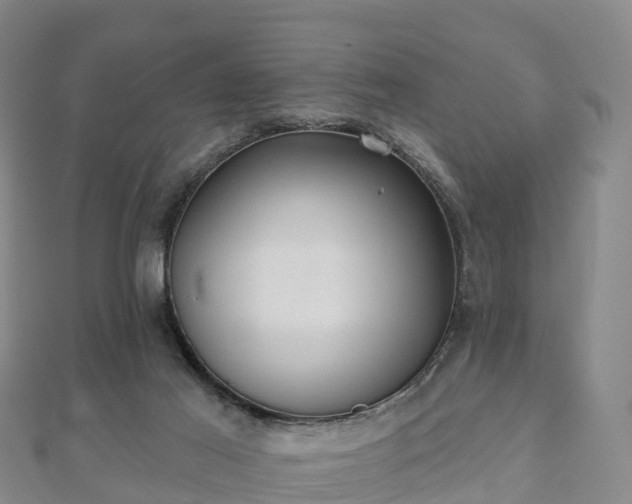 X0000110720021200906191515