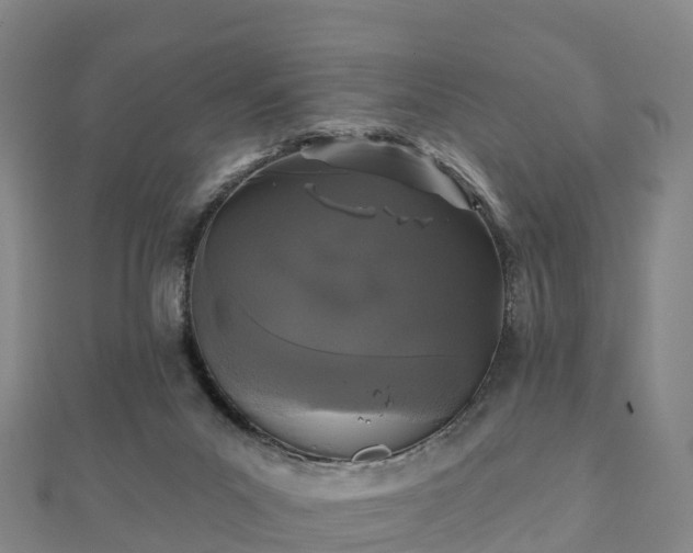 X0000110720023200906191515