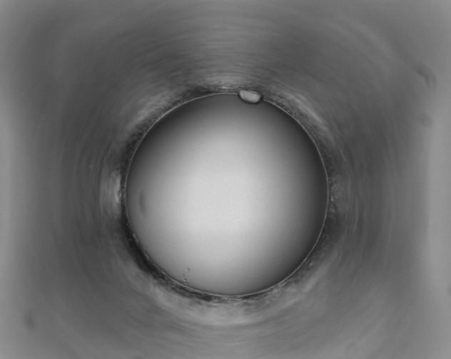 X0000110720024200906191515
