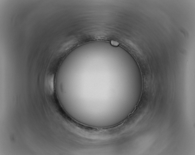 X0000110720028200906191515