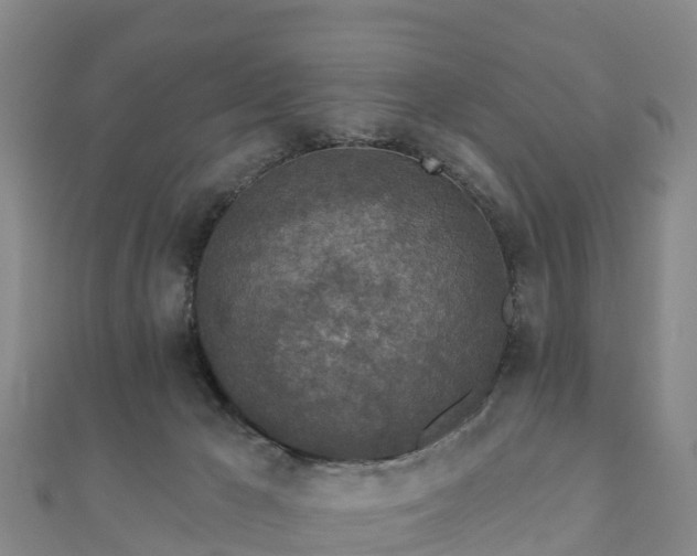X0000110720029200906191515