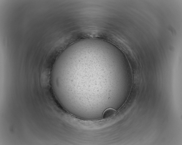 X0000110720030200906191515