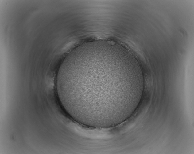 X0000110720032200906191515