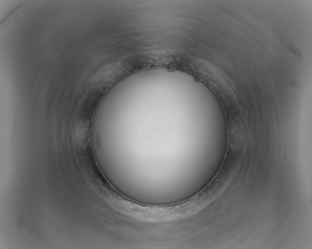 X0000110720034200906191515