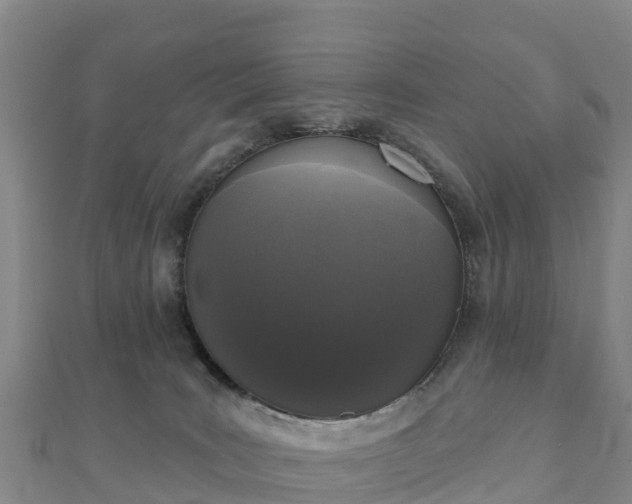 X0000110720035200906191515