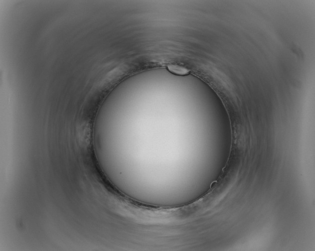 X0000110720036200906191515