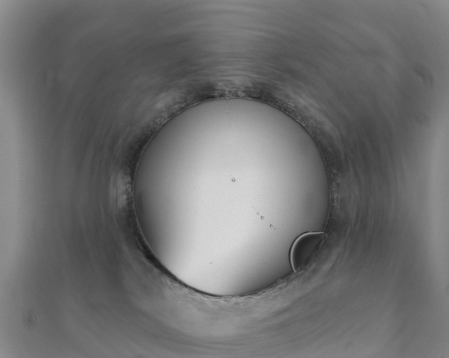 X0000110720038200906191515