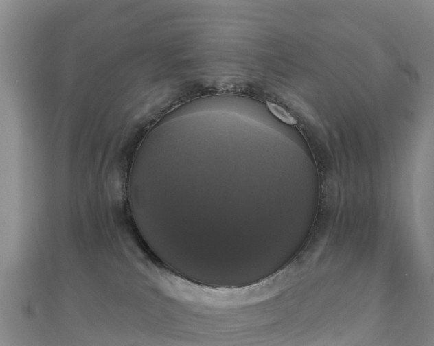 X0000110720039200906191515