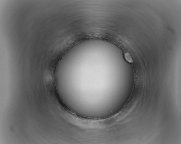 X0000110720040200906191515