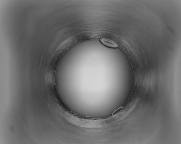 X0000110720044200906191515