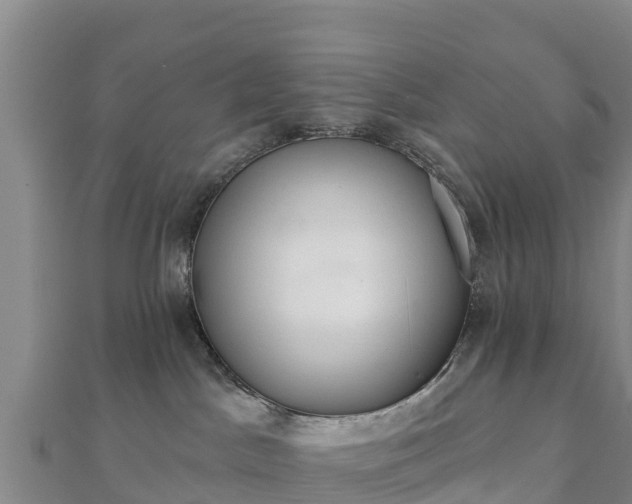 X0000110720045200906191515