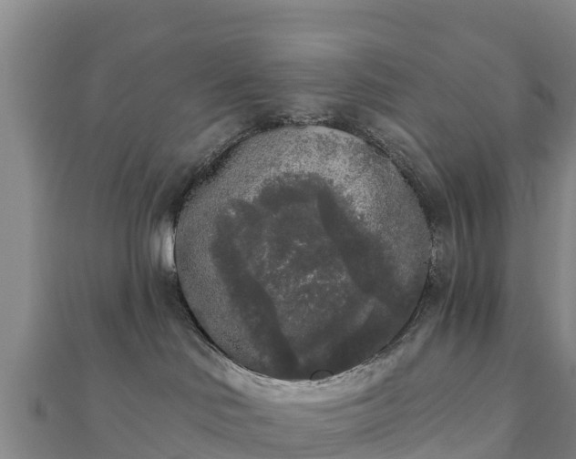 X0000110720046200906191515