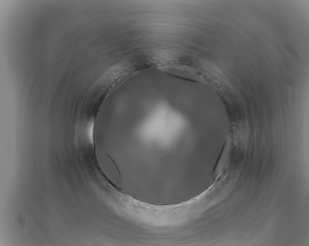 X0000110720047200906191515
