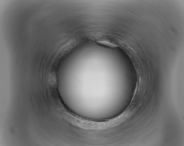X0000110720048200906191515