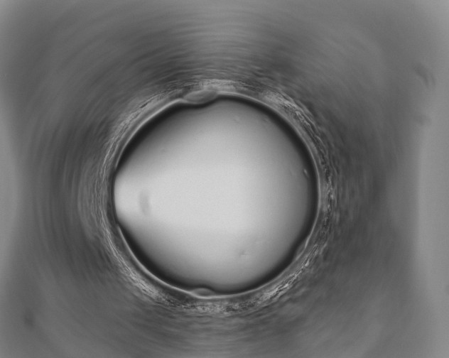 X0000110720049200906191514
