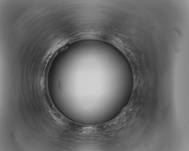 X0000110720050200906191514
