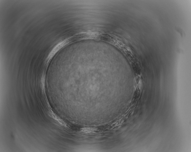 X0000110720051200906191514