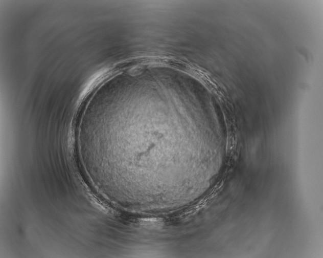 X0000110720053200906191514