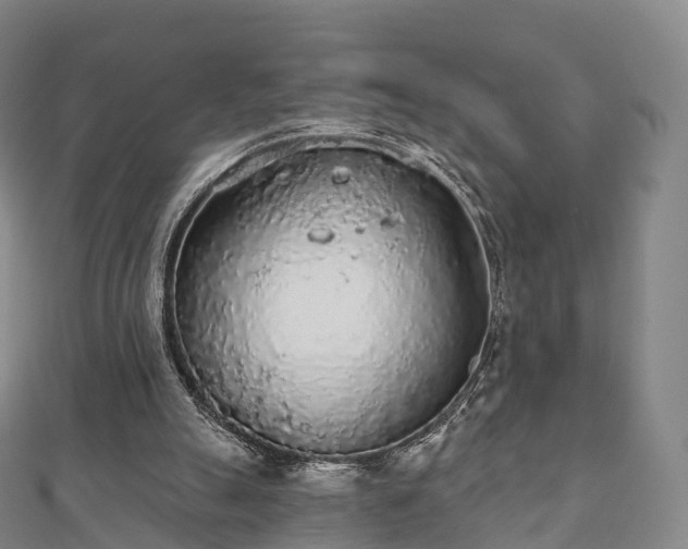 X0000110720055200906191514