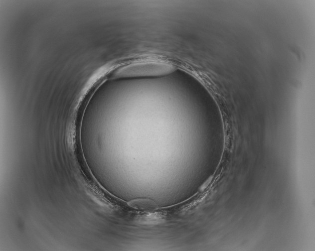 X0000110720056200906191514