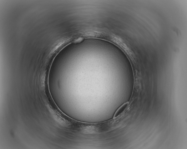 X0000110720058200906191514