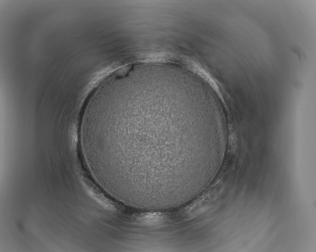 X0000110720059200906191514