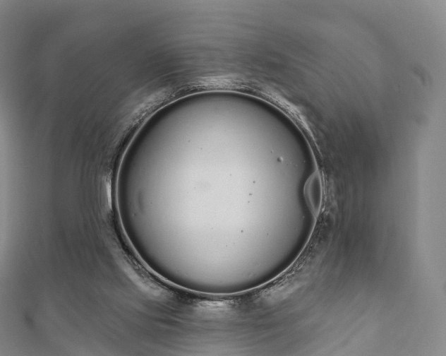 X0000110720061200906191514