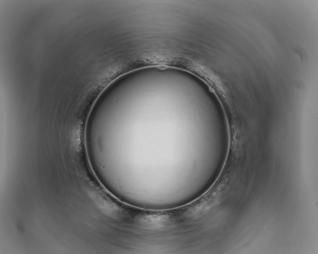 X0000110720065200906191514