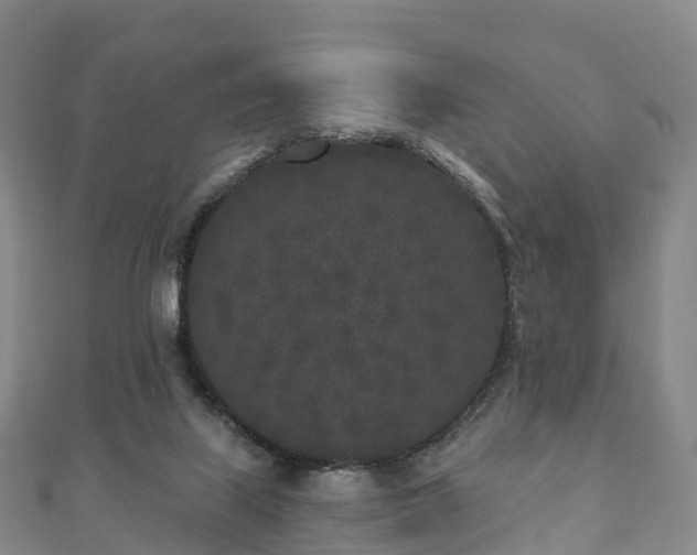 X0000110720067200906191514