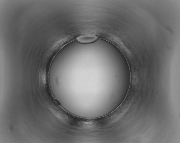 X0000110720068200906191514