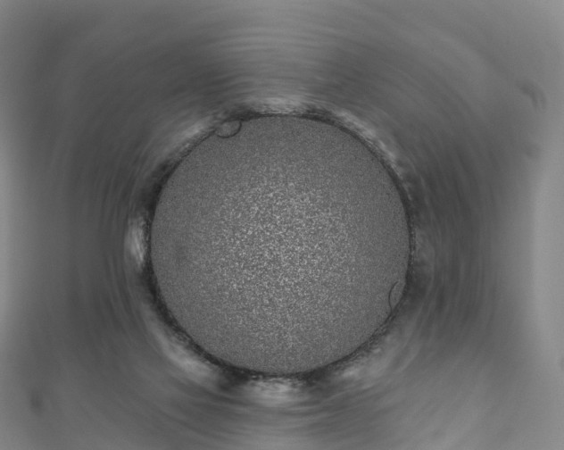 X0000110720069200906191514