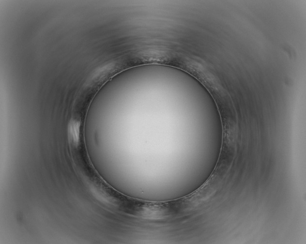 X0000110720070200906191514