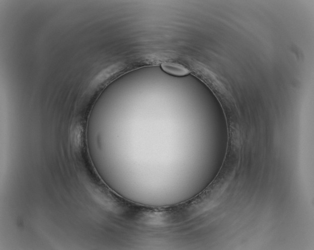 X0000110720071200906191514