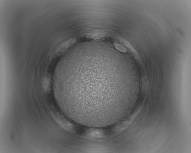 X0000110720073200906191514