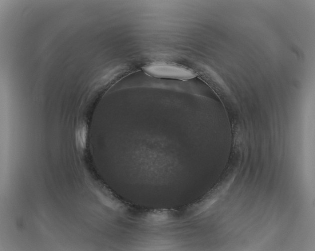X0000110720076200906191514