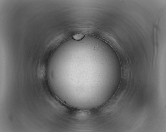 X0000110720077200906191514