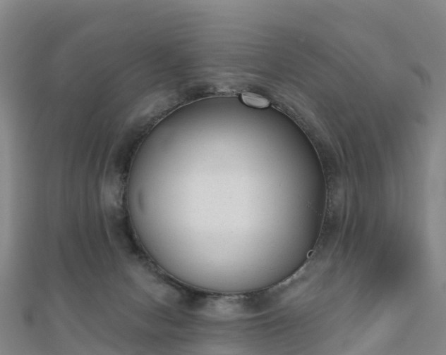 X0000110720078200906191514