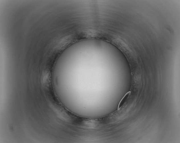 X0000110720079200906191514