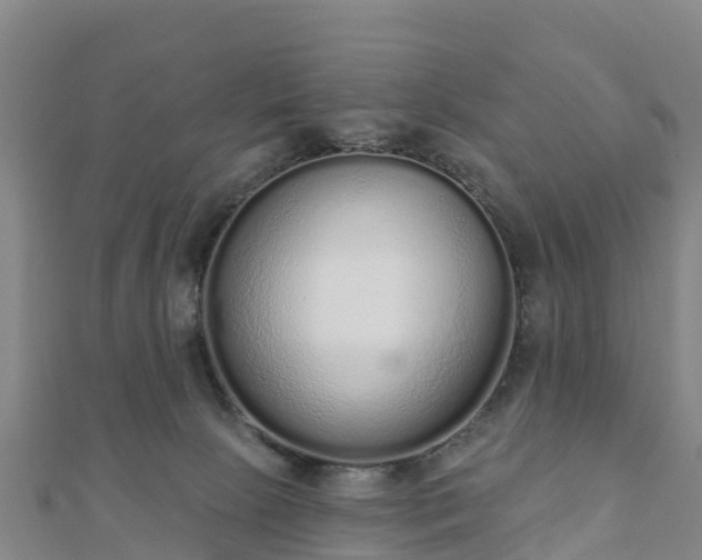 X0000110720081200906191514