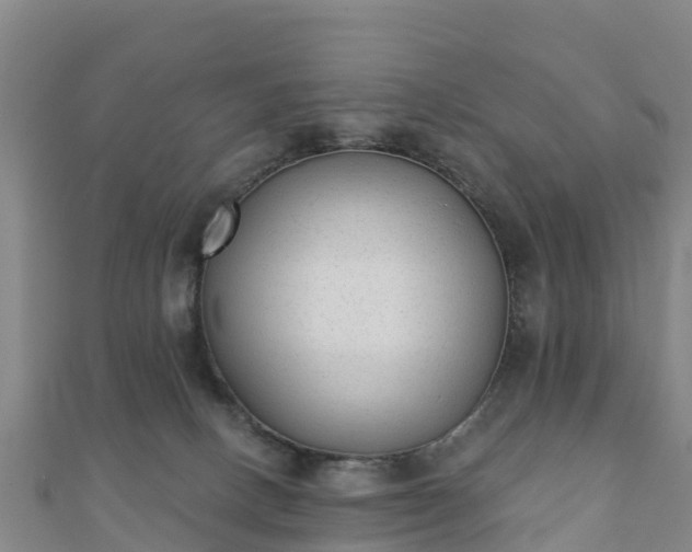 X0000110720082200906191514