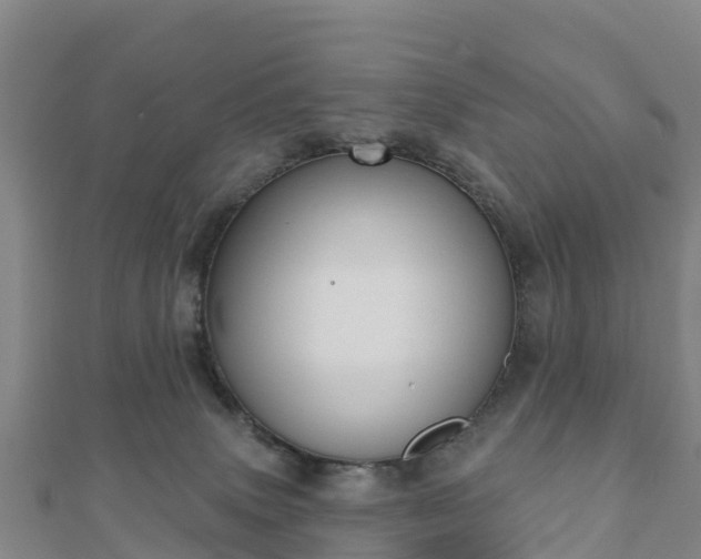 X0000110720083200906191514