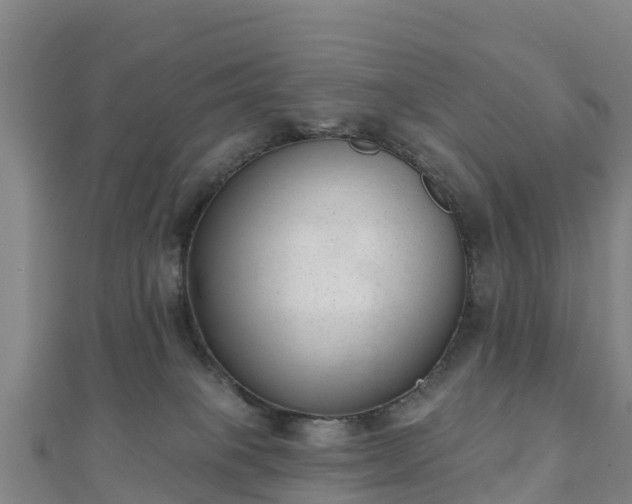 X0000110720085200906191514