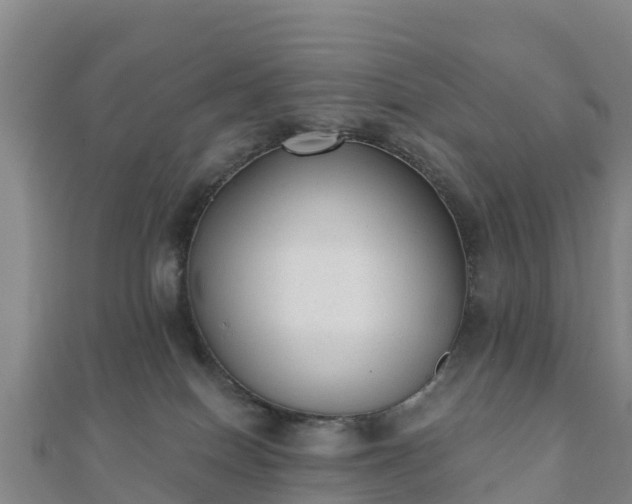 X0000110720086200906191514