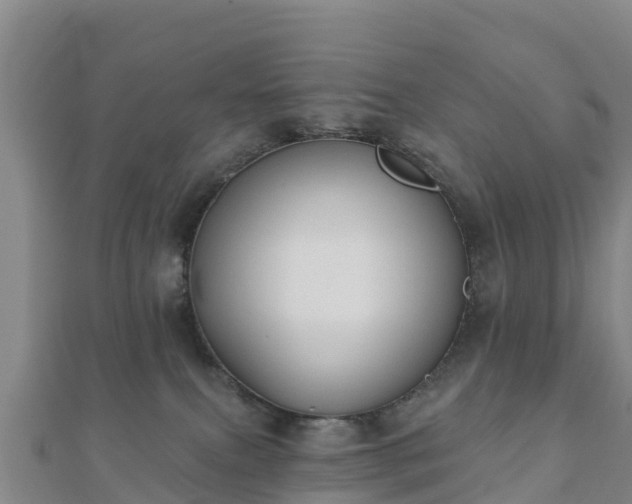 X0000110720087200906191514
