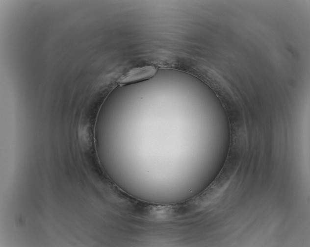 X0000110720088200906191514