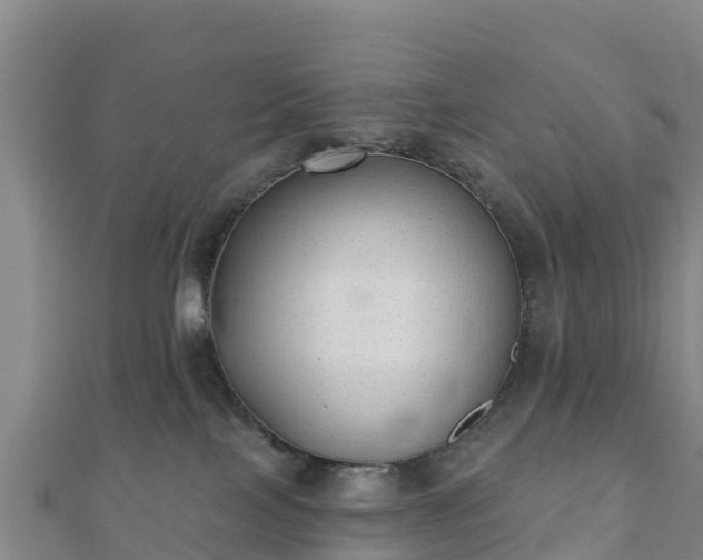 X0000110720089200906191514