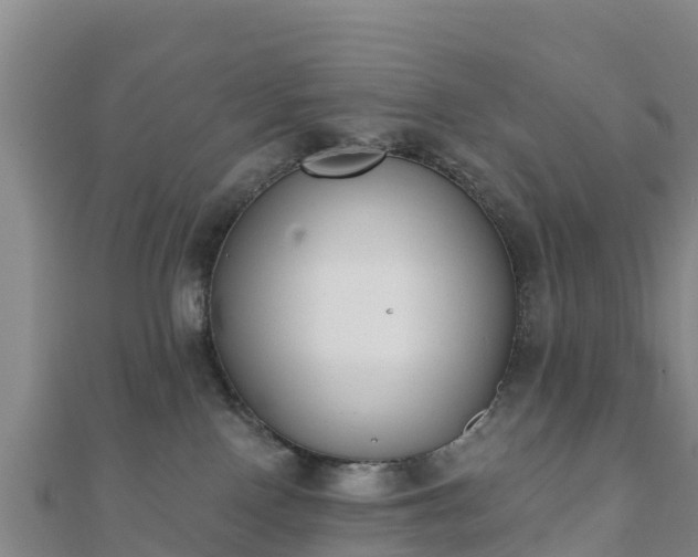 X0000110720090200906191514