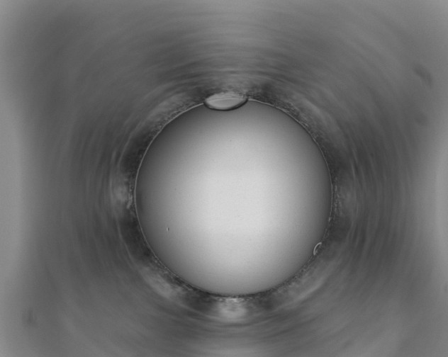 X0000110720091200906191514