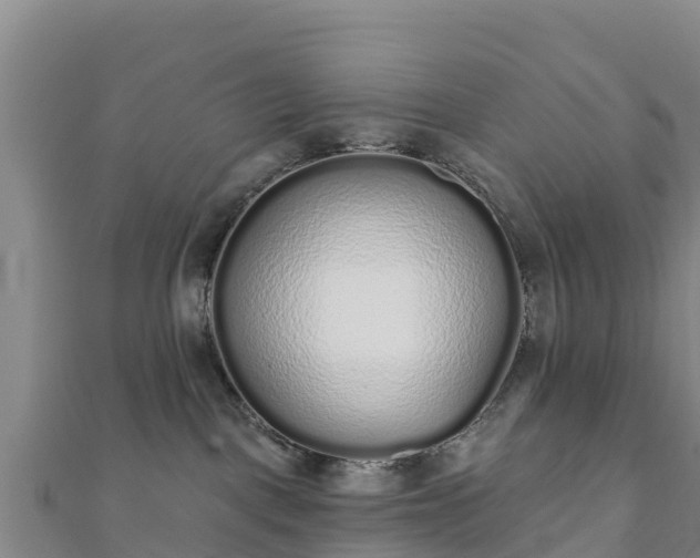 X0000110720093200906191515